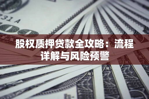 武汉股权质押贷款全攻略：流程详解与风险预警