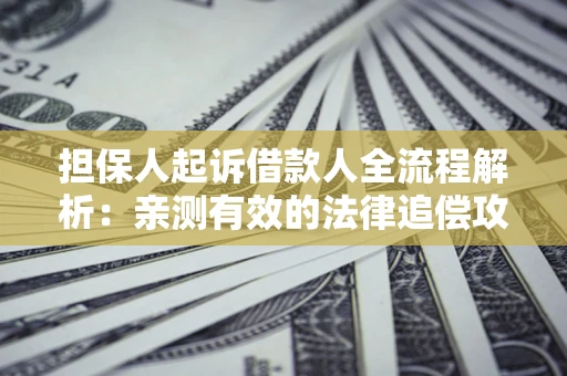 武汉担保人起诉借款人全流程解析：亲测有效的法律追偿攻略