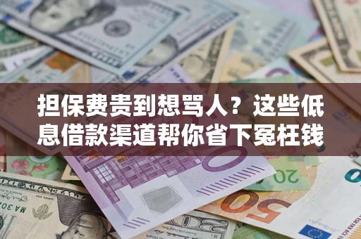 武汉担保费贵到想骂人？这些低息借款渠道帮你省下冤枉钱