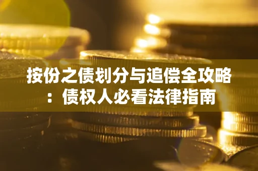 武汉按份之债划分与追偿全攻略：债权人必看法律指南