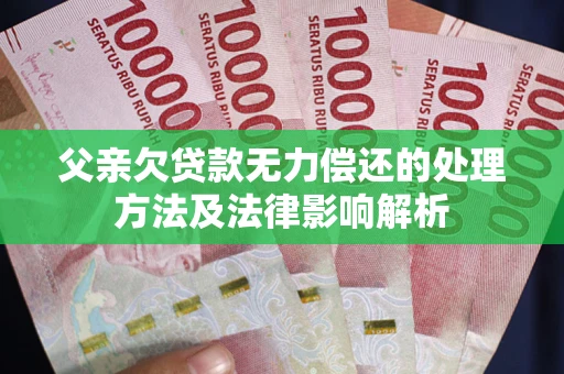 武汉父亲欠贷款无力偿还的处理方法及法律影响解析